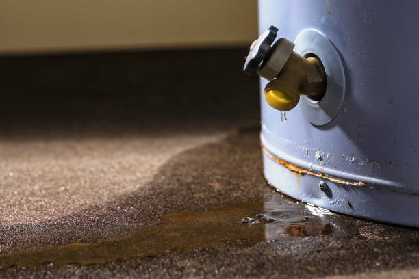 24/7 water damage repair in MS