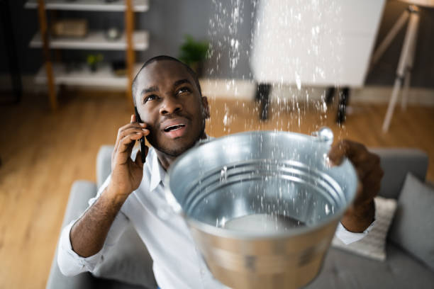 Best Flood restoration services  in Mendenhall, MS