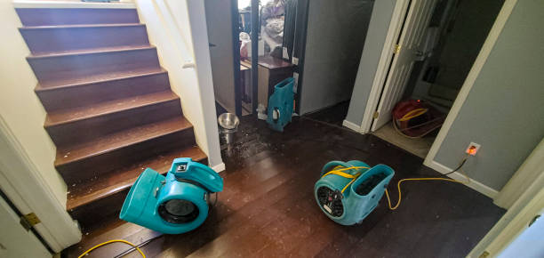 Best Flood damage cleanup  in Mendenhall, MS