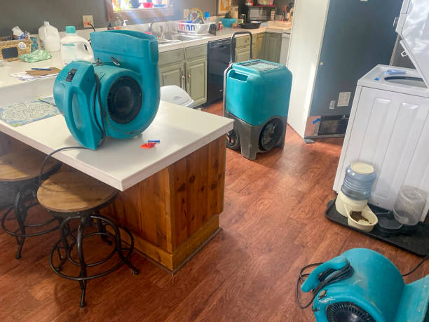 Best Carpet water damage restoration  in Mendenhall, MS
