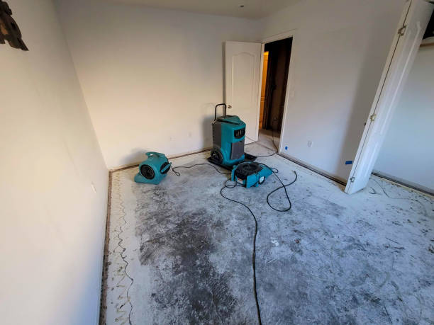 Best Basement water damage restoration  in Mendenhall, MS
