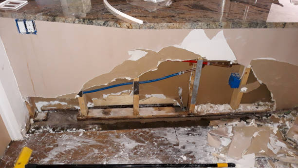 Best Sewage cleanup and water damage restoration  in Mendenhall, MS
