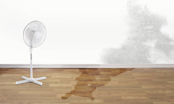 Reliable MS Water damage restoration Solutions