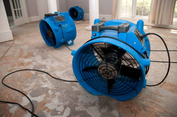 Best Flood damage cleanup  in Mendenhall, MS