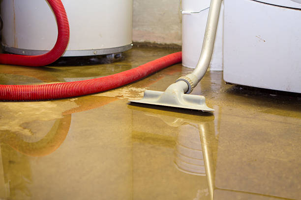 Water damage restoration mold remediation in MS